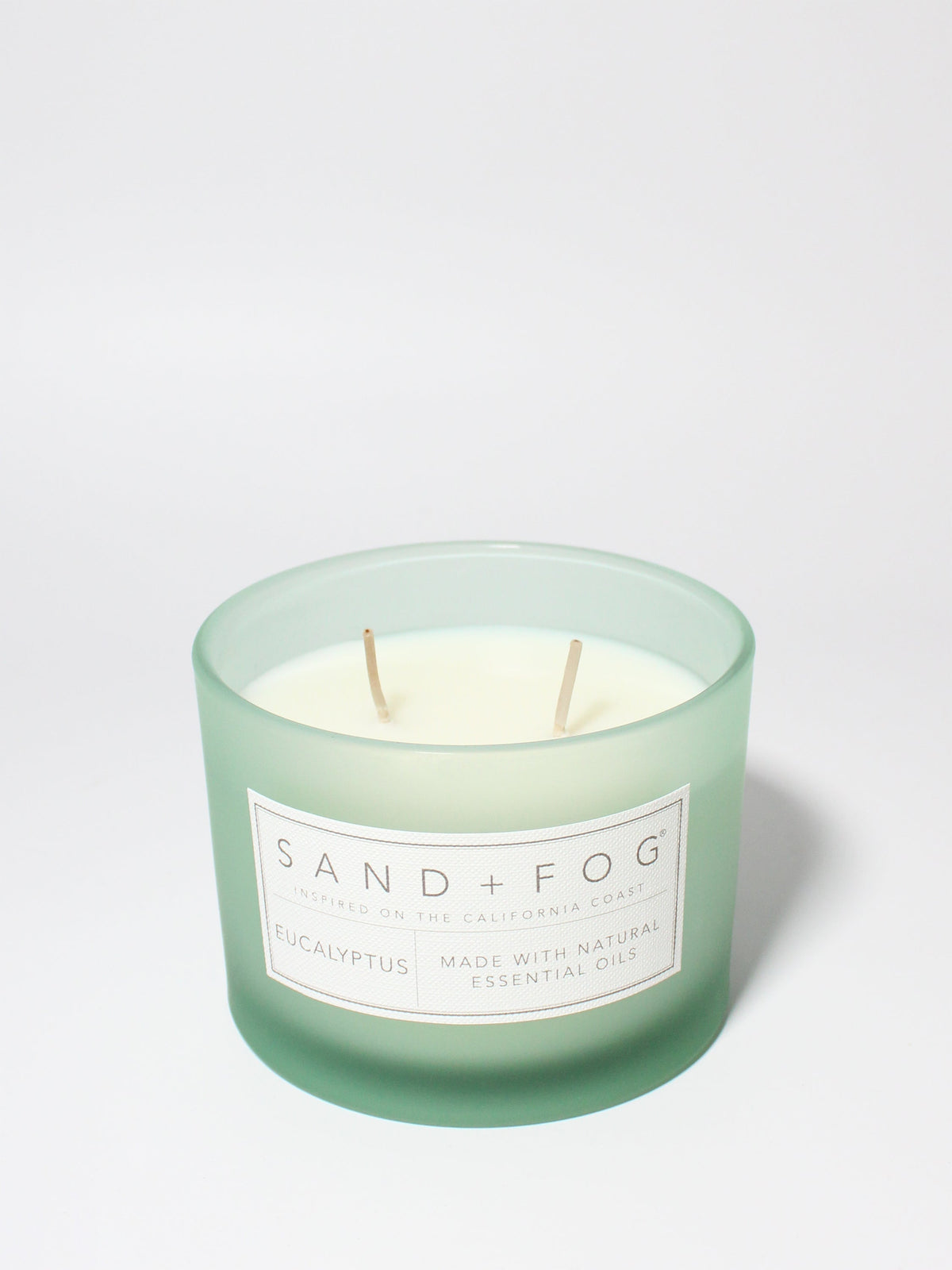 Eucalyptus 12 oz Cozy scented candle