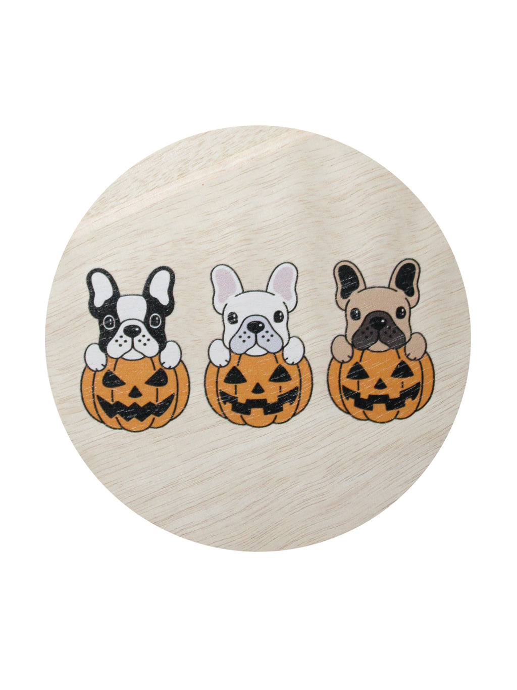 Sand + Paws Pumpkin Harvest 12 oz Cozy scented candle
