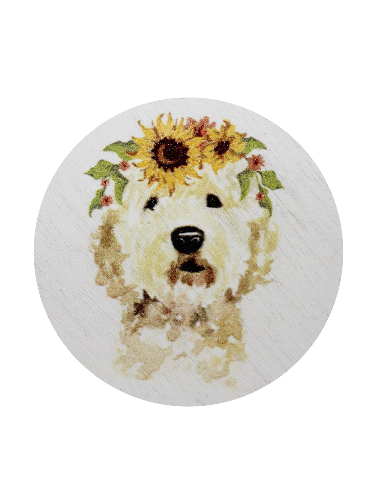 Sand + Paws Mango Tangerine 12 oz Cozy scented candle