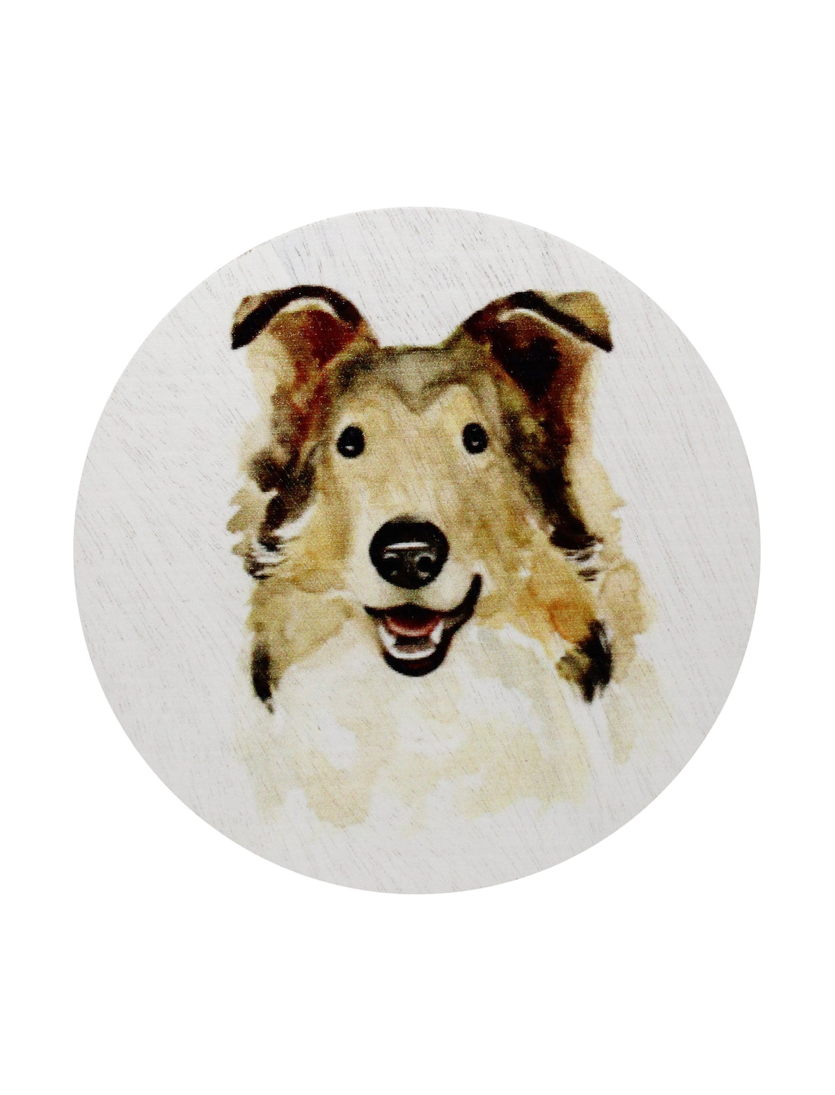 Sand + Paws Desert Rain 12 oz Cozy scented candle