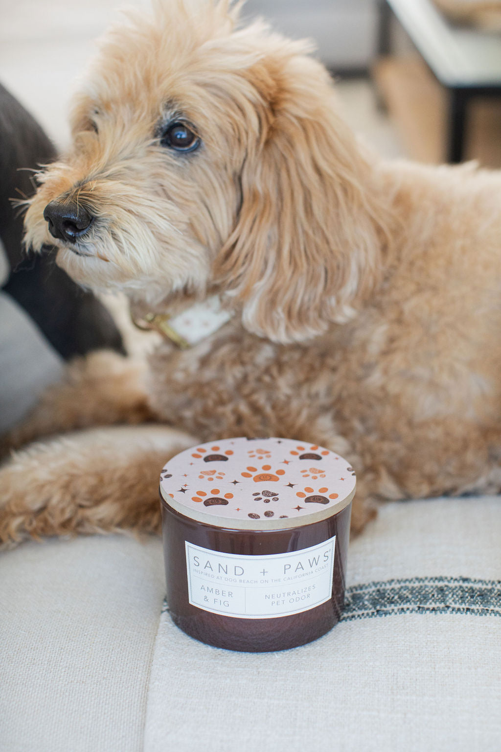 Sand + Paws Amber & Fig 12 oz Cozy scented candle
