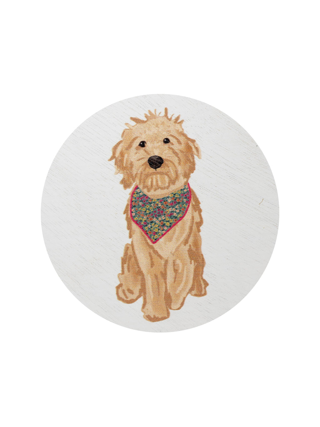 Sand + Paws Laundry Day 12 oz Cozy scented candle
