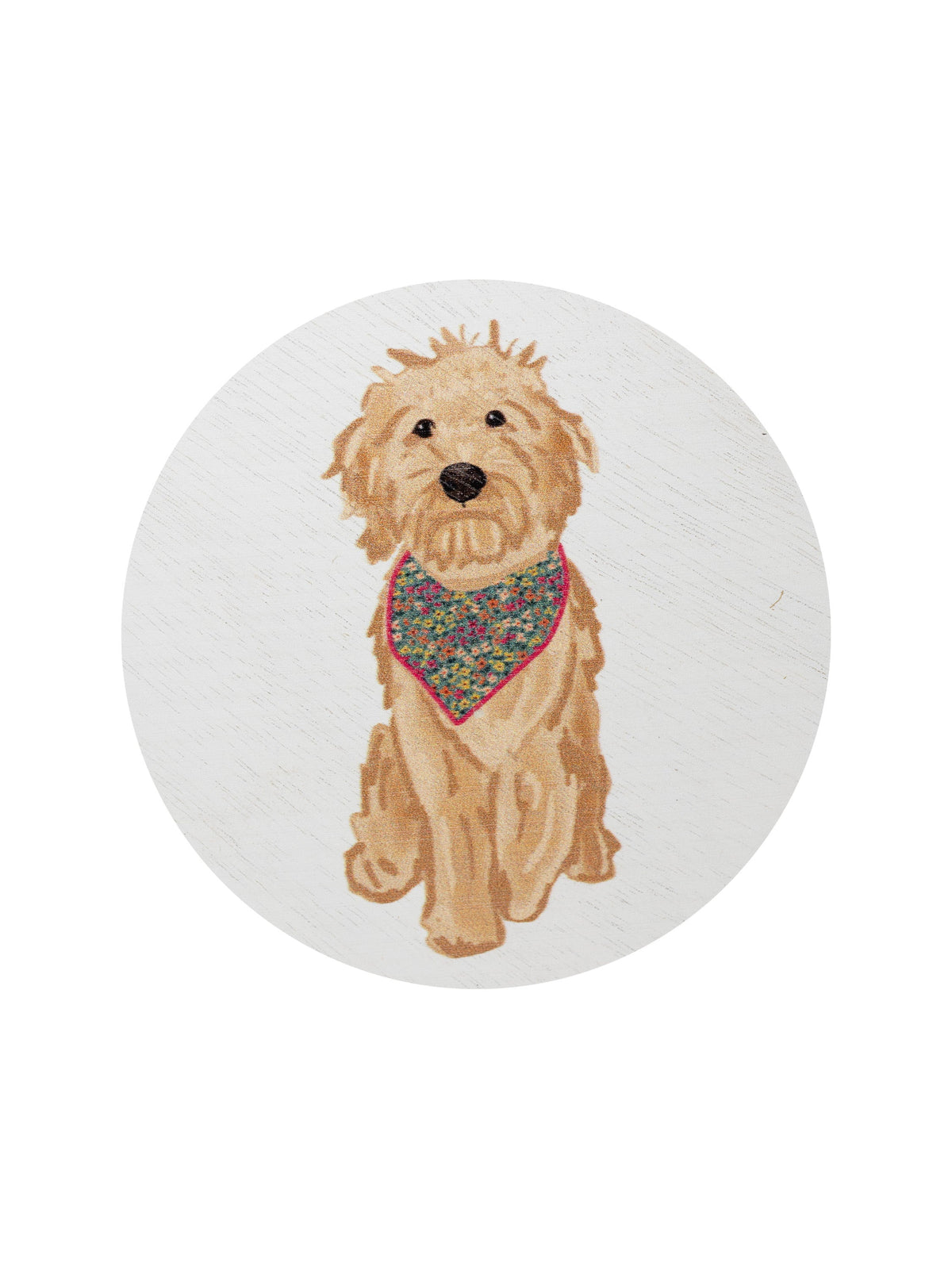 Sand + Paws Laundry Day 12 oz Cozy scented candle