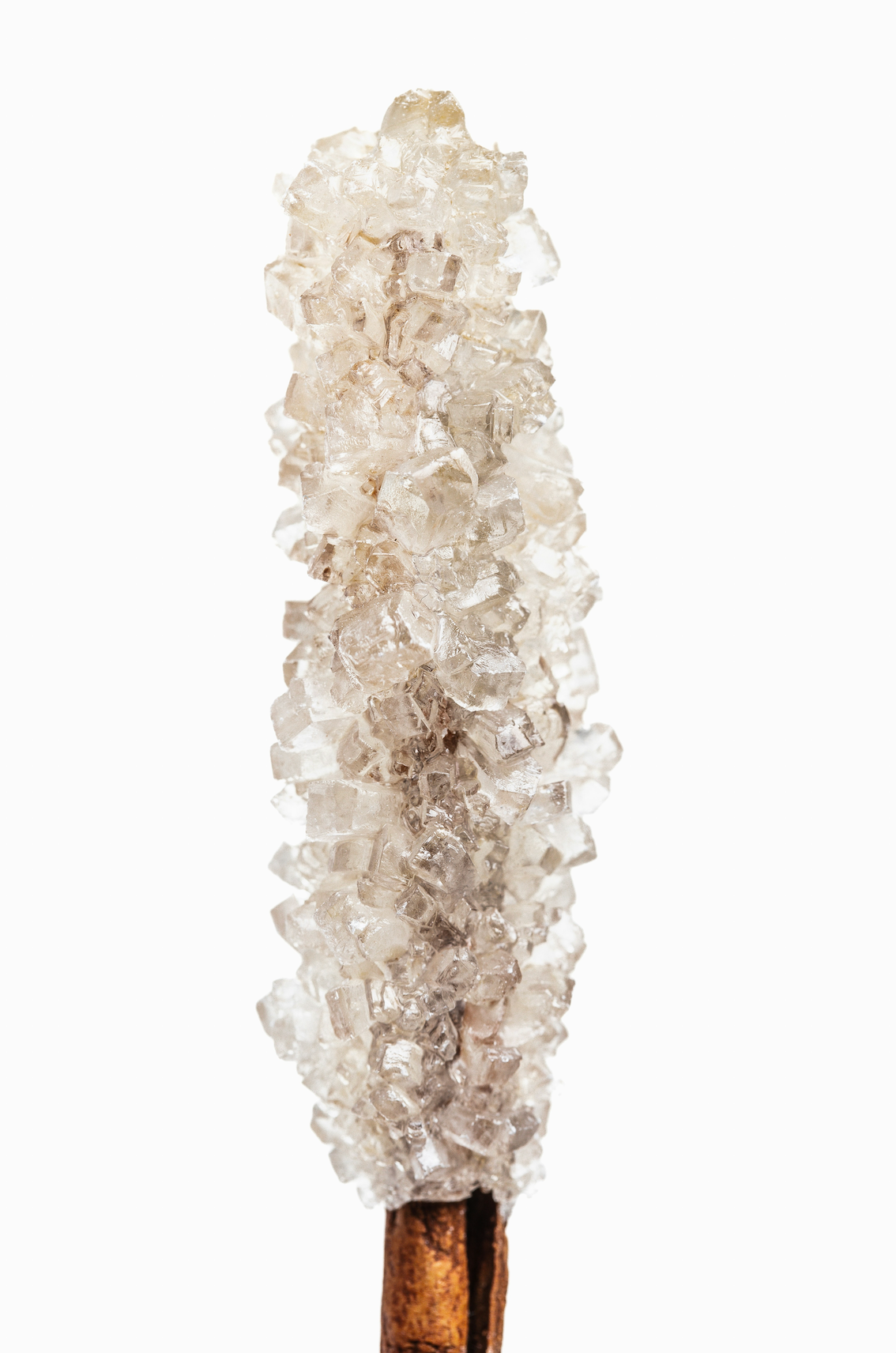 Vanilla Sugar 32 oz Nourishing Body Wash