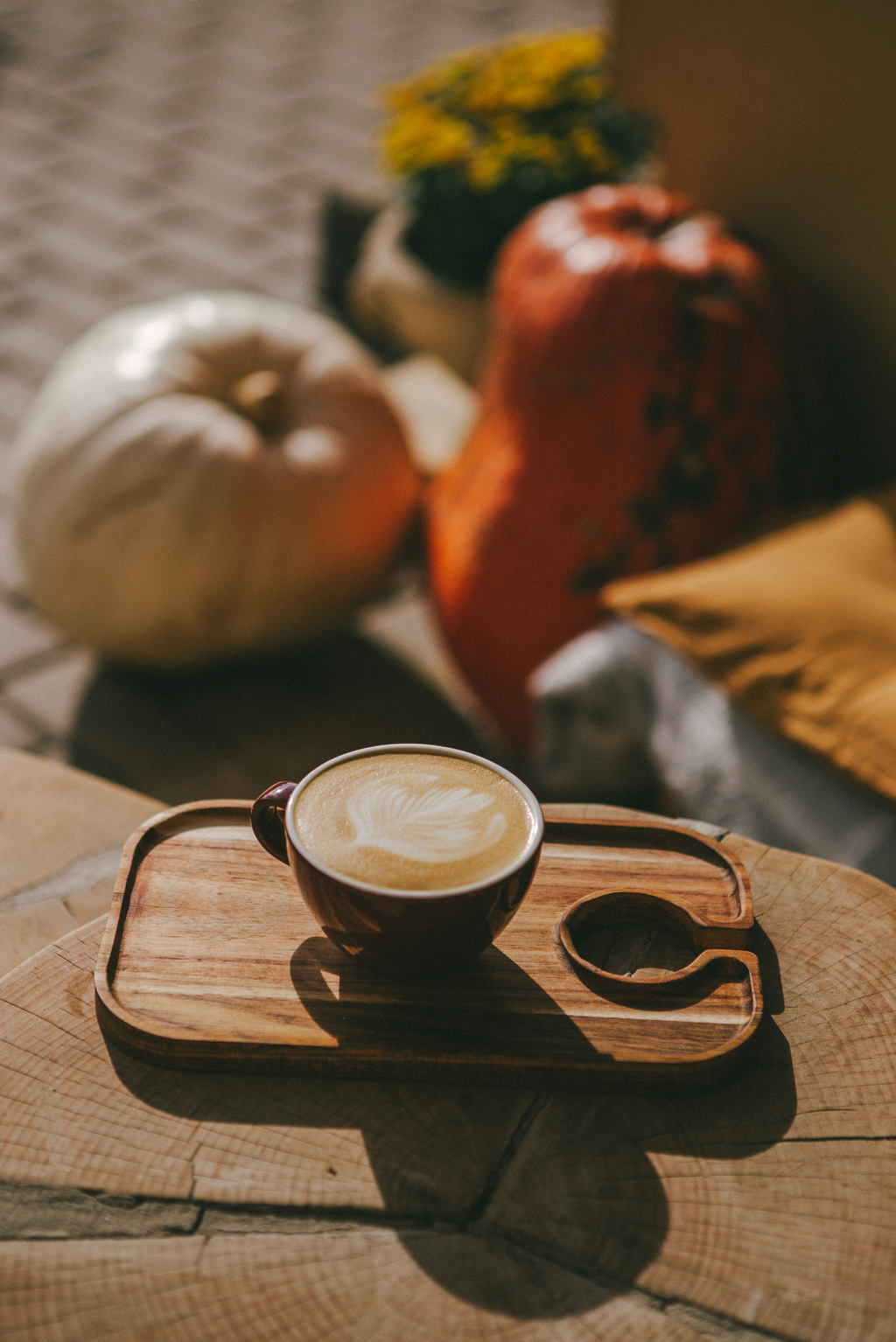 Sand + Paws Pumpkin Soy Latte 12 oz Cozy scented candle