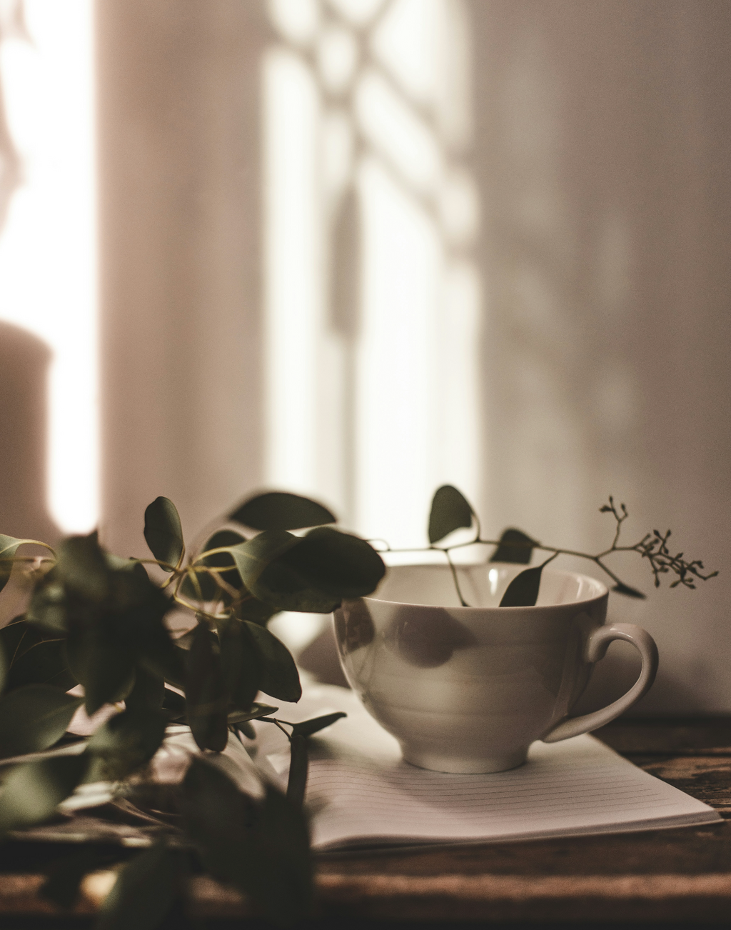 Eucalyptus Mint 15.7 oz Gentle Liquid Hand Soap