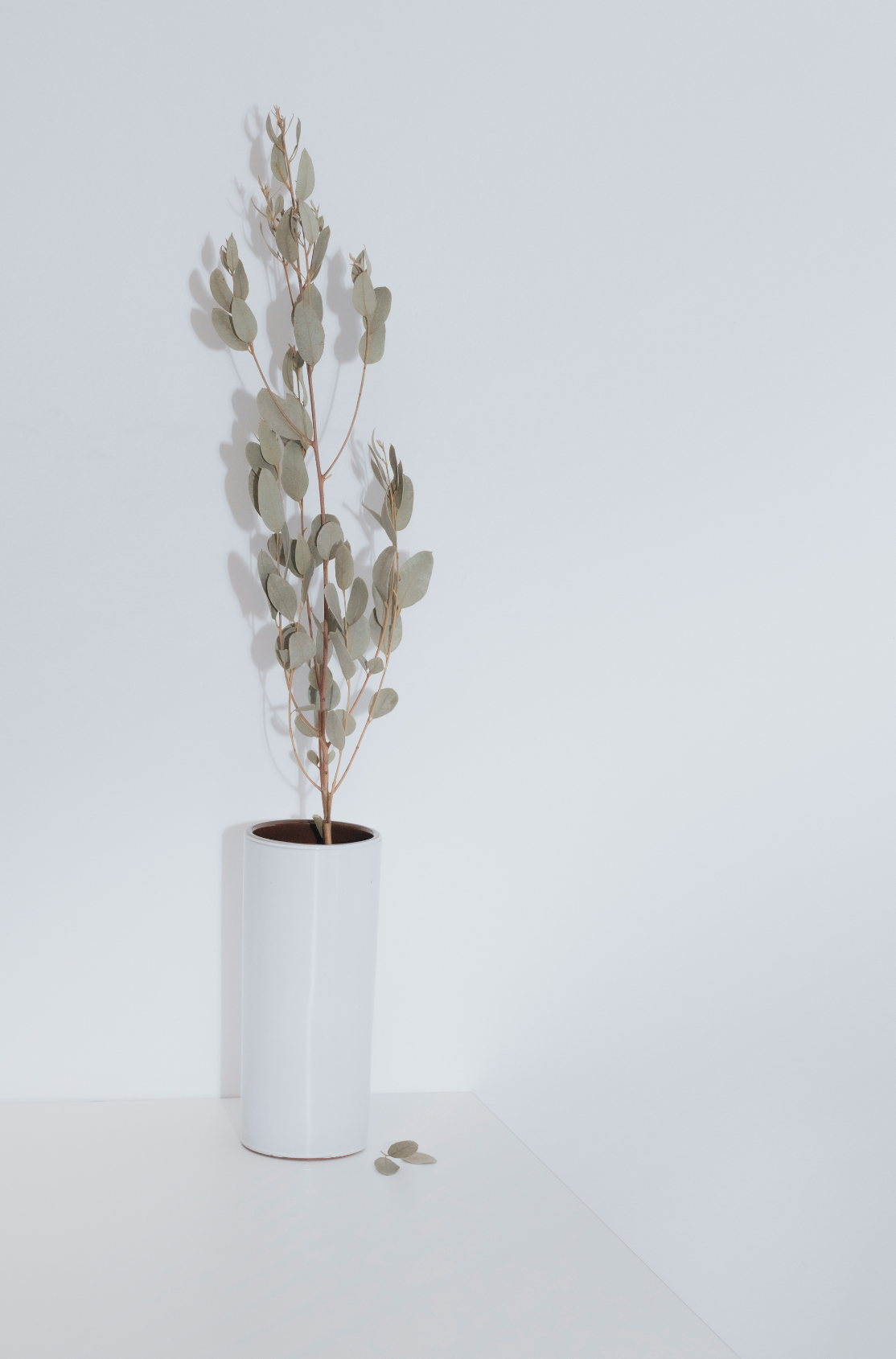 Eucalyptus Spearmint 100 ml Long-lasting Reed Diffuser