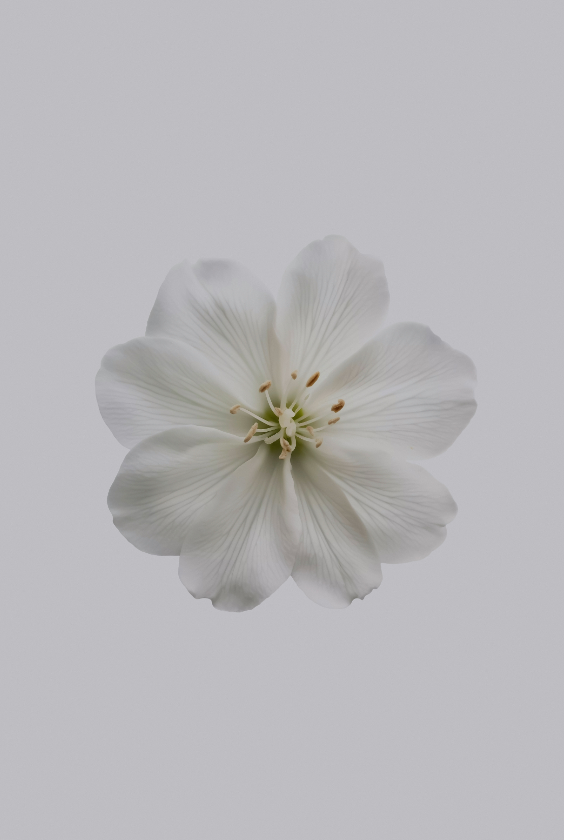 Fresh Jasmine 180 ml Long-lasting Reed Diffuser