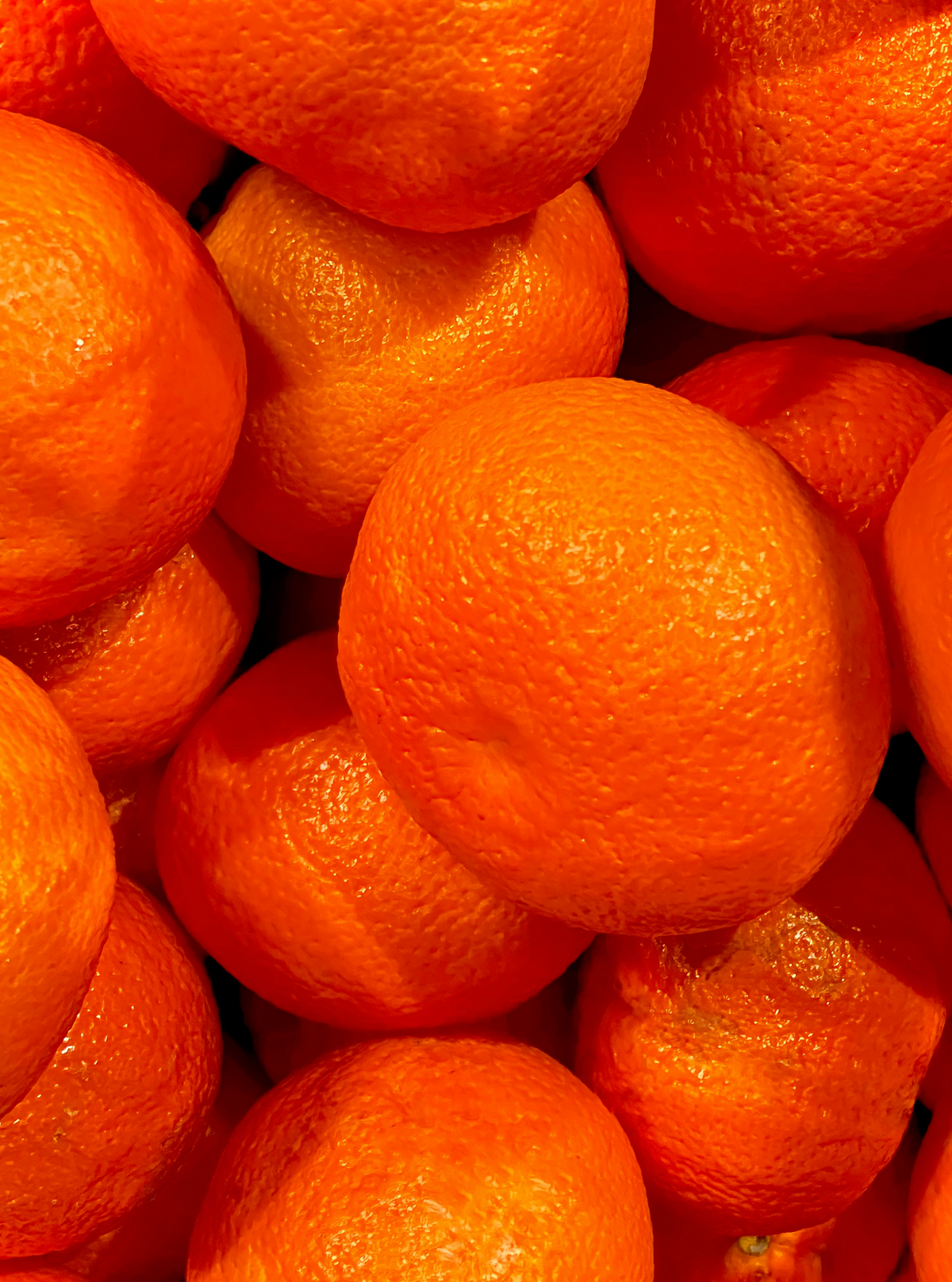 Mango & Sweet Tangerine 10 oz Cozy scented candle