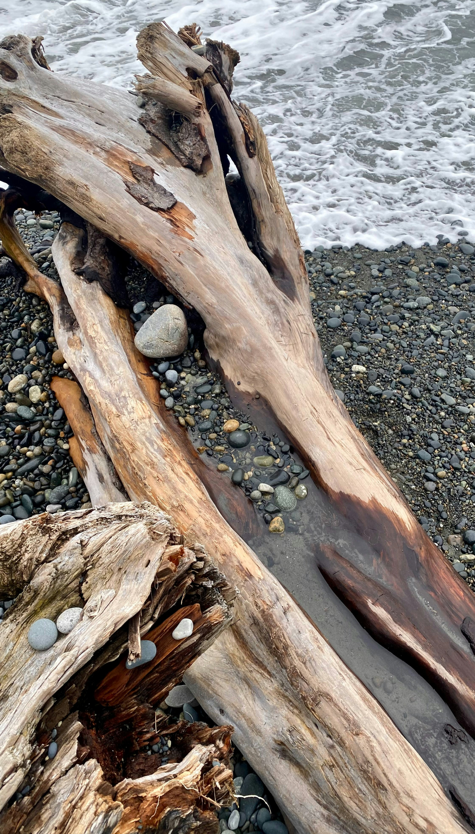 Ocean & Driftwood 10 oz Cozy scented candle