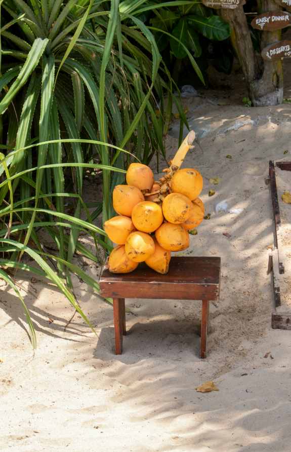 Coconut Blossom 50 ml Long-lasting Perfume Oil Dropper