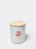 Tropical Citrus 10 oz Cozy scented candle