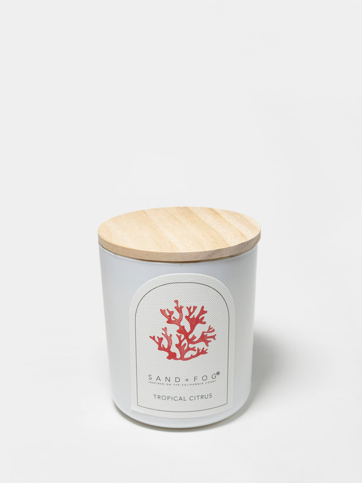 Tropical Citrus 10 oz Cozy scented candle
