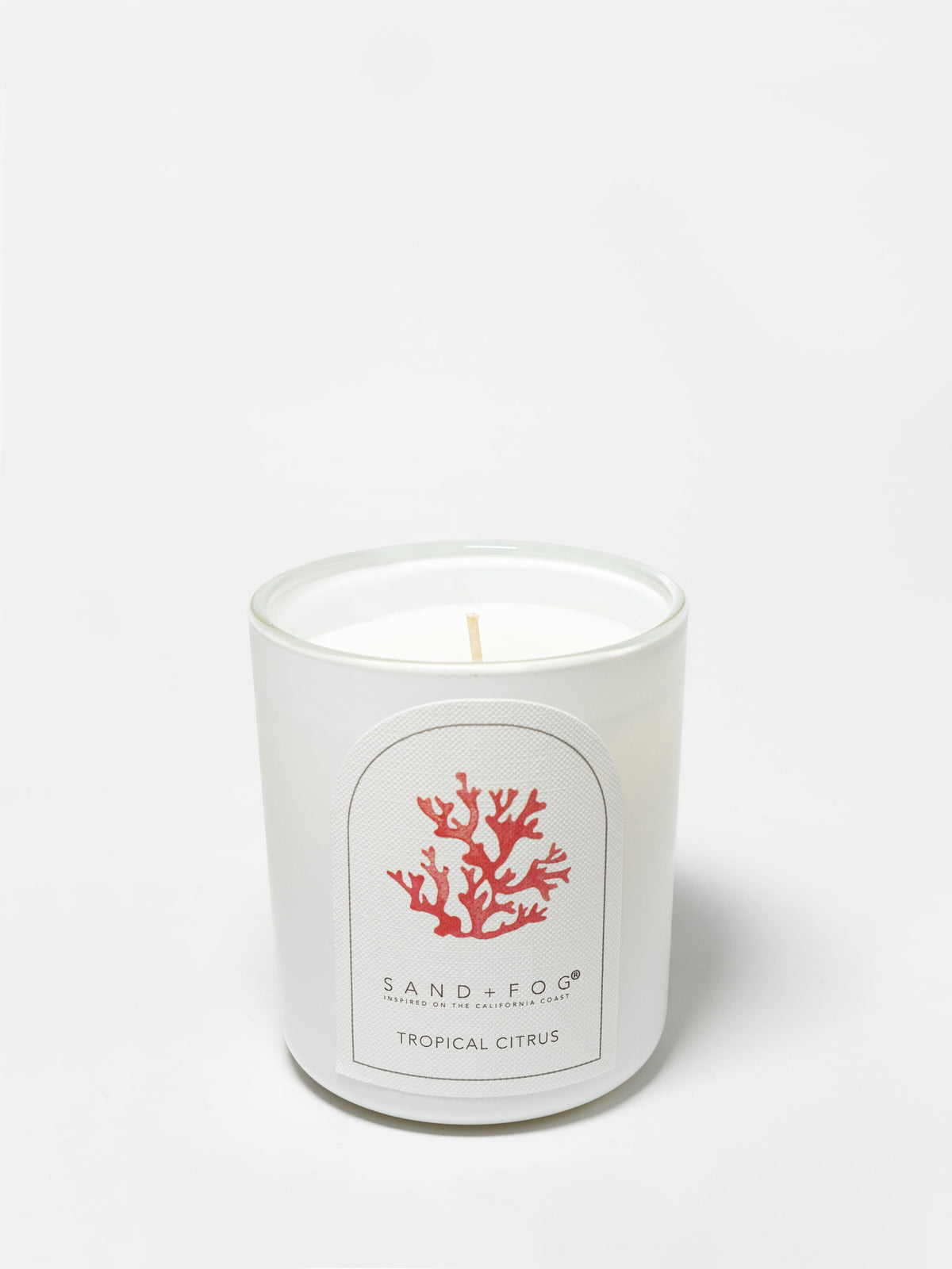 Tropical Citrus 10 oz Cozy scented candle