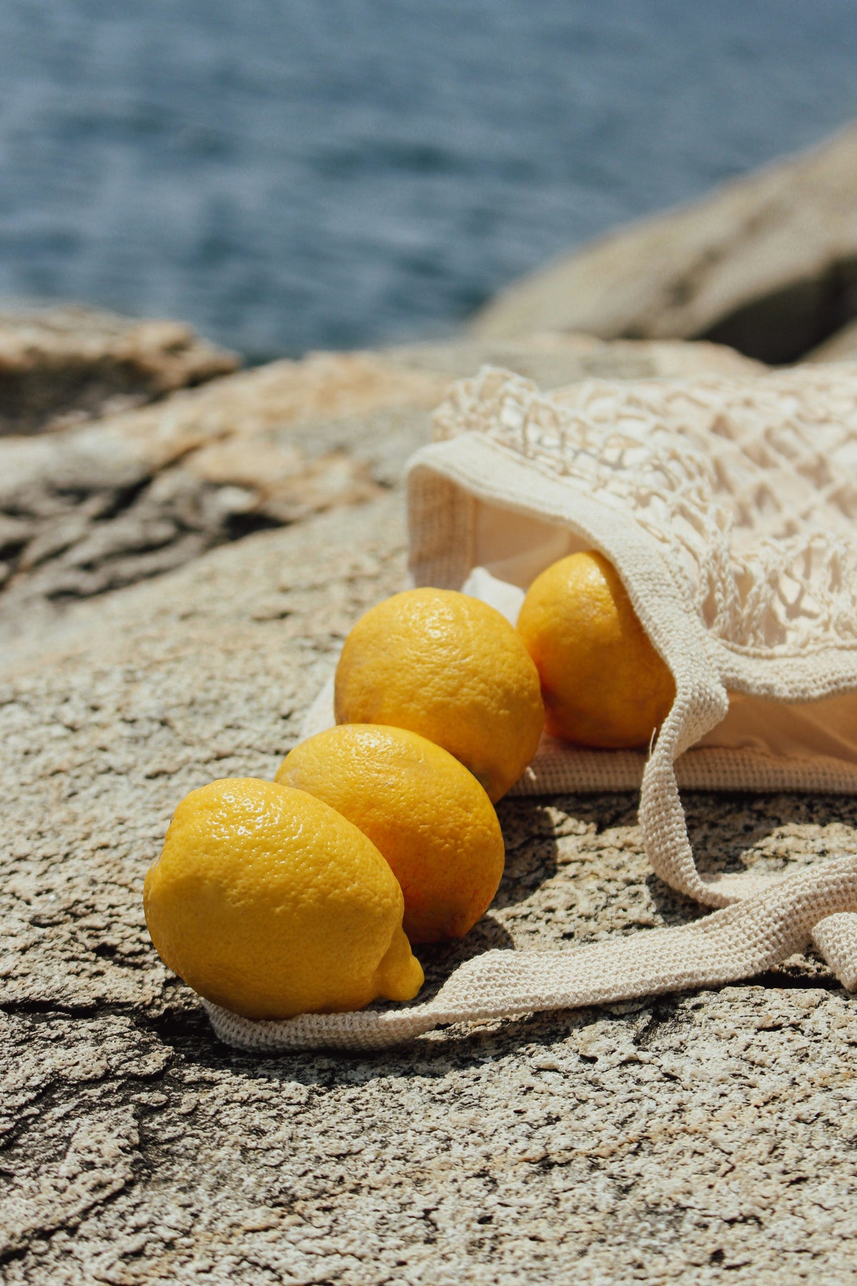 Italian Citrus 12 oz Cozy scented candle
