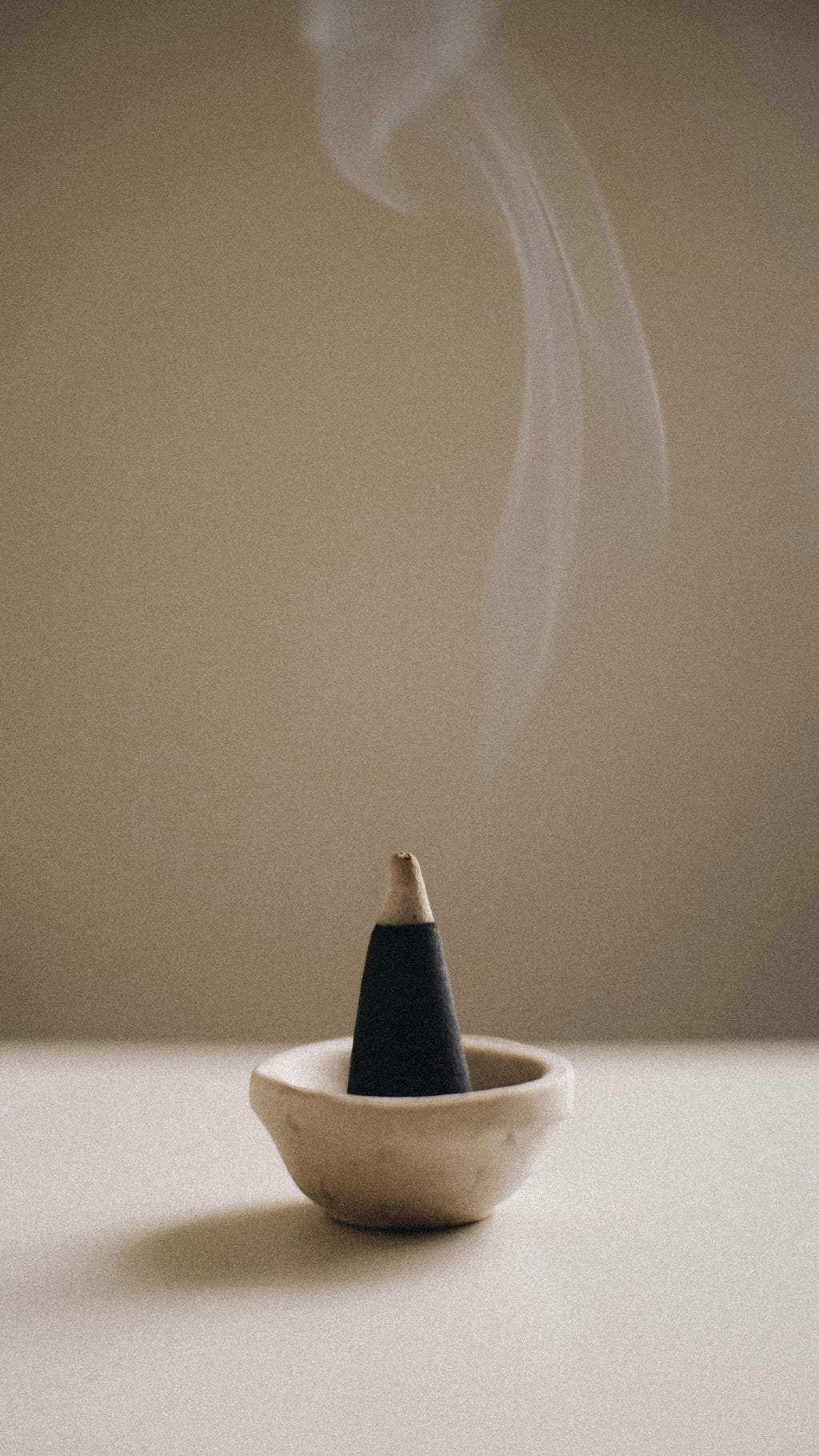 Saddle & Cardamom 12 oz Cozy scented candle