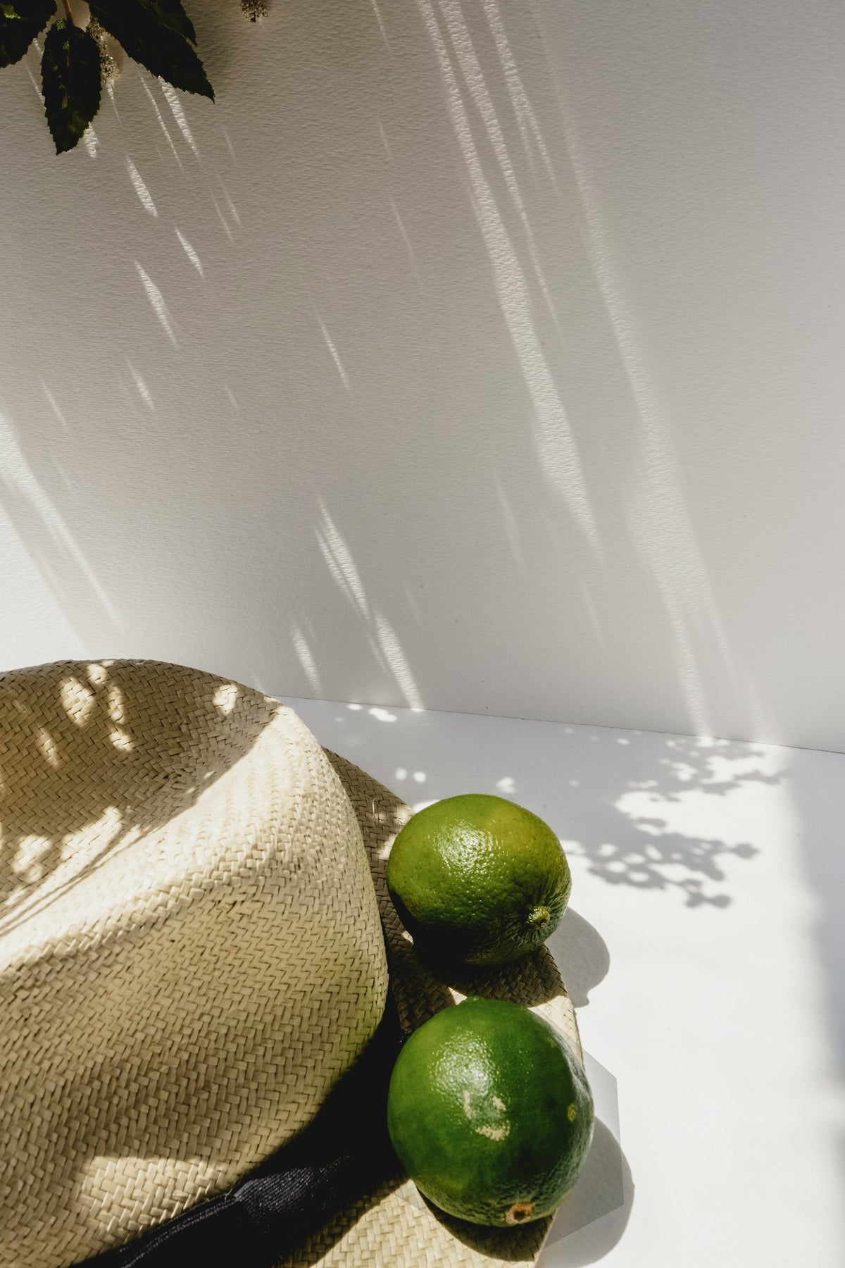 Bergamot Bliss 50 ml Long-lasting Perfume Oil Dropper